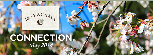 Mayacama