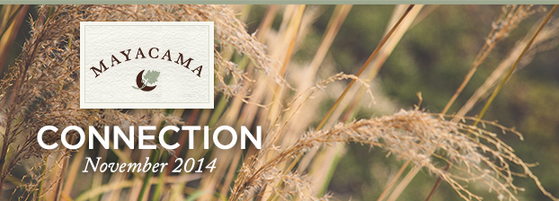 Mayacama