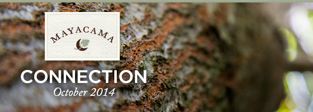 Mayacama