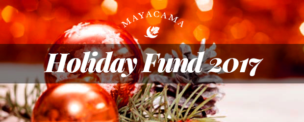 Holiday Fund 2015